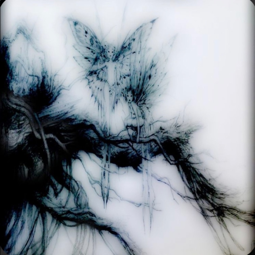 Meet your Posher, Shirley